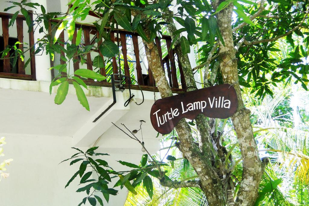 فندق Turtle Lamp أونا واتونا المظهر الخارجي الصورة